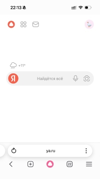 Яндекс Браузер для iPhone - скриншот 1