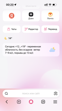 Яндекс Браузер - скриншот iOS